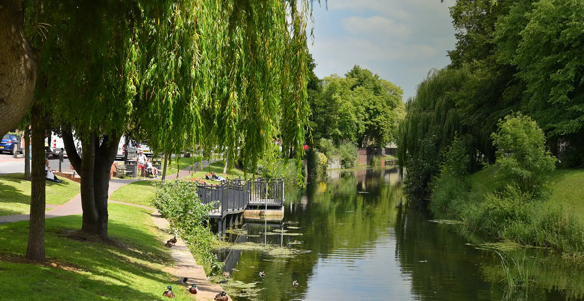 Spalding Hello Header